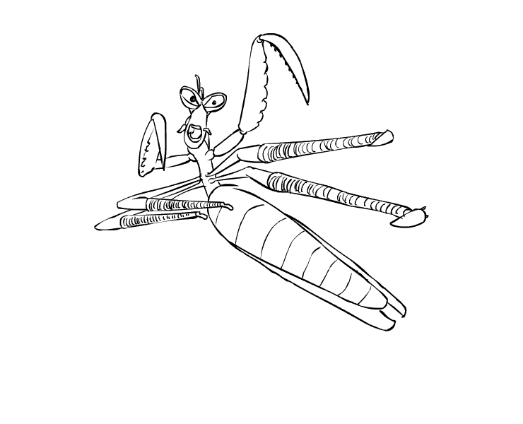 coloriage kung fu panda mante en action